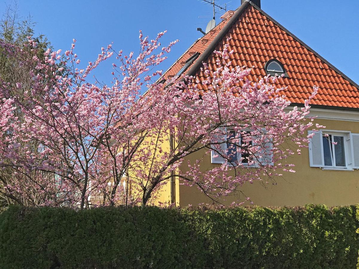 Lion Homestay München Eksteriør billede